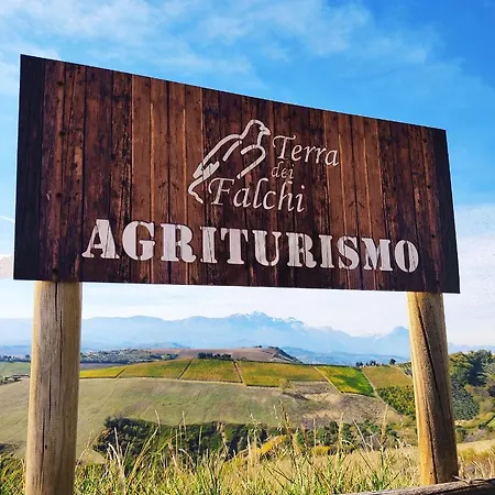 Terra Dei Falchi