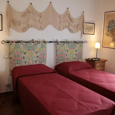 Terra Dei Falchi Castilenti