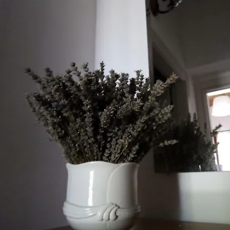 Alloggio per agriturismo Terra Dei Falchi *