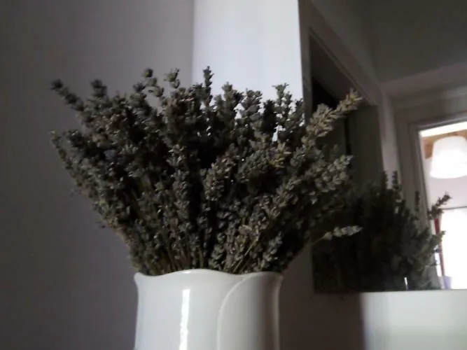 Фермерский дом Terra Dei Falchi *